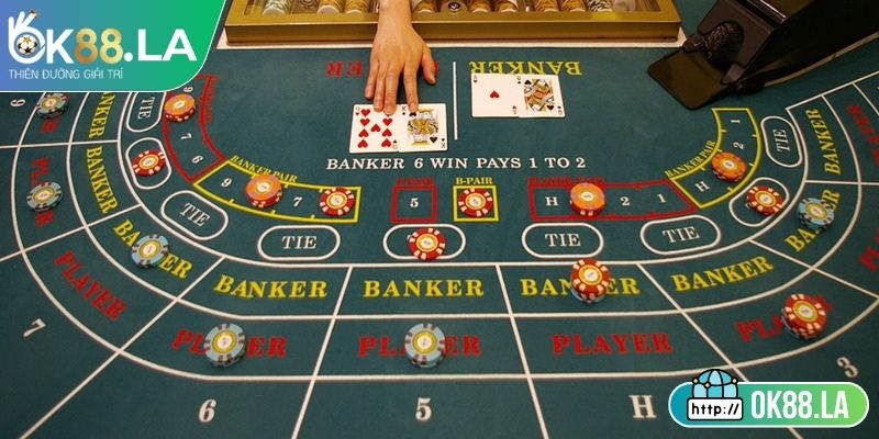 Hướng dẫn chia lá thứ ba minh bạch dễ hiểu