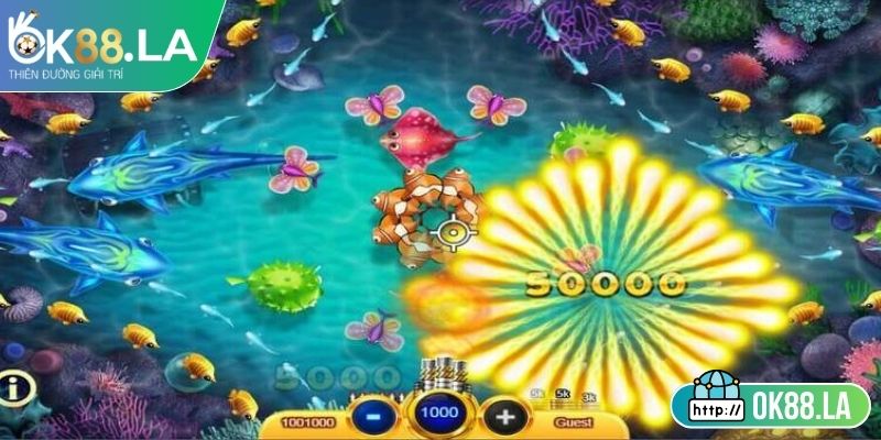 Tìm hiểu đôi nét về BAO CHUAN FISHING OK88