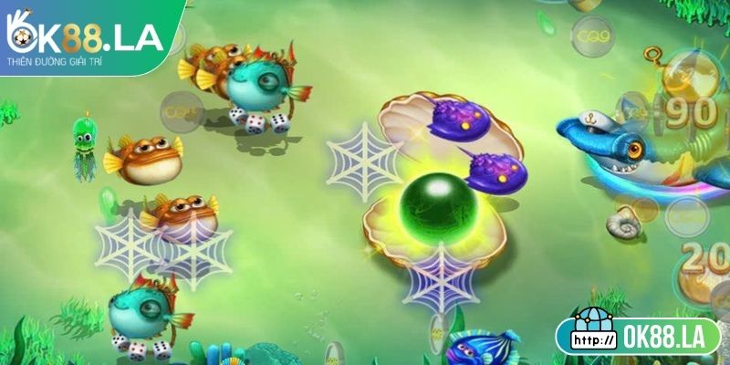 Hội viên cần lưu ý trong quá trình trải nghiệm