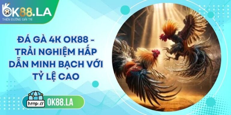 Đá Gà 4k OK88 - Trải Nghiệm Hấp Dẫn Minh Bạch Với Tỷ Lệ Cao