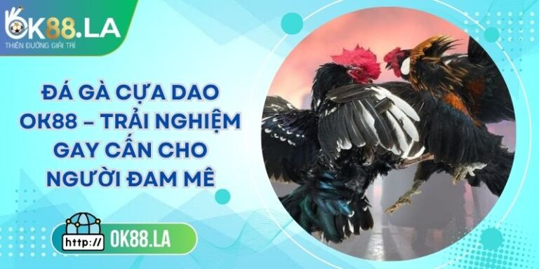 Đá Gà Cựa Dao OK88 – Trải Nghiệm Gay Cấn Cho Người Đam Mê