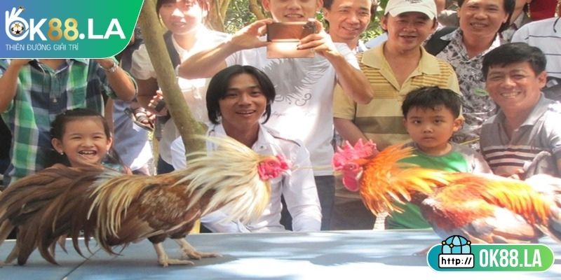 Nguyên tắc kỷ luật đối với hành vi vi phạm