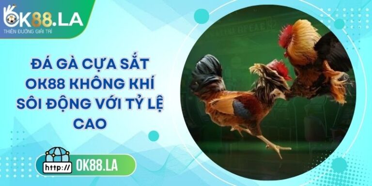 Đá Gà Cựa Sắt OK88 Không Khí Sôi Động Với Tỷ Lệ Cao