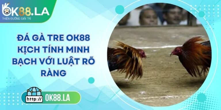 Đá Gà Tre OK88 Kịch Tính Minh Bạch Với Luật Rõ Ràng
