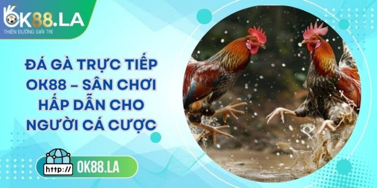Đá Gà Trực Tiếp OK88 – Sân Chơi Hấp Dẫn Cho Người Cá Cược