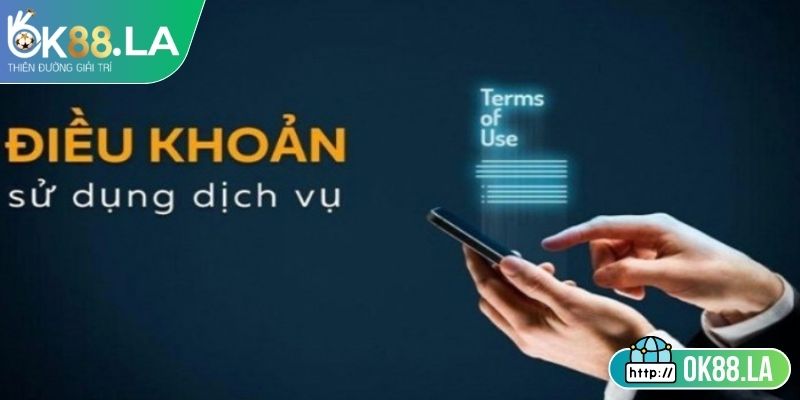 Tầm quan trọng của điều khoản sử dụng OK88