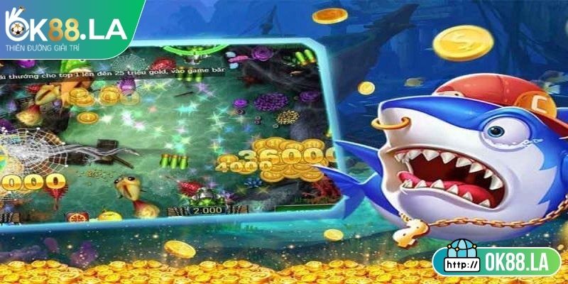 Hội viên cần nắm rõ luật chơi cơ bản